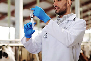 சட்டங்களும் ஒழுங்குகளும்