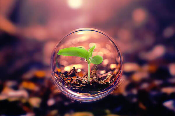 Financial_Institution__Insurance